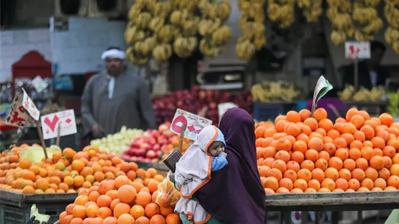 صندوق النقد: مصر تحتل المرتبة الـ32 عالميًا في الديون بنهاية 2025 