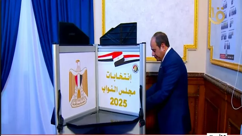 لحظة إدلاء الرئيس السيسي بصوته في انتخابات النواب |فيديو
