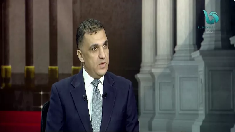 أستاذ علوم سياسية: المواطن المصري يشعر بالثقة لاحترام الدولة الدستور