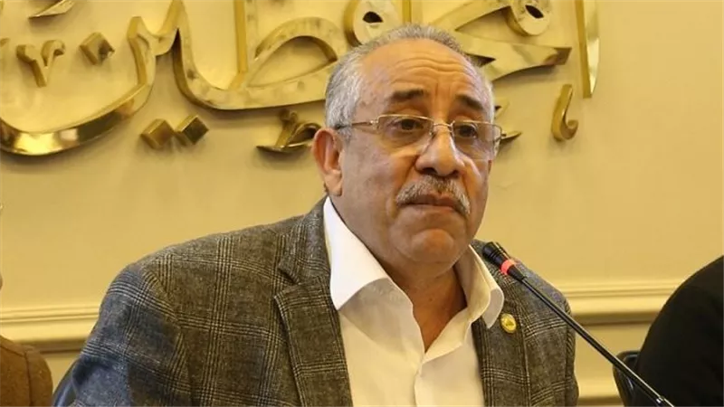 طلعت خليل: انتهاكات انتخابات النواب مستمرة وأطالب بإلغائها| خاص