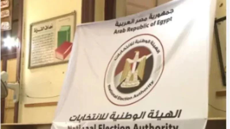 العليا للانتخابات بشمال القاهرة: التعدي على موظف اللجنة من قبل المرشحين