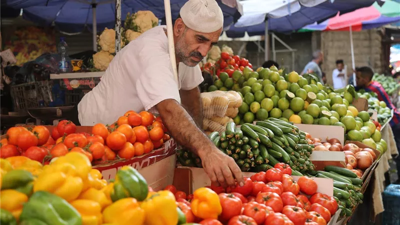 قبل ما تشتري.. أسعار الخضراوات والفاكهة اليوم الثلاثاء 25 نوفمبر