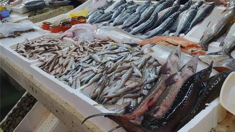 أسعار الأسماك اليوم الثلاثاء.. تراجع البلطي والمكرونة وارتفاع الكابوريا