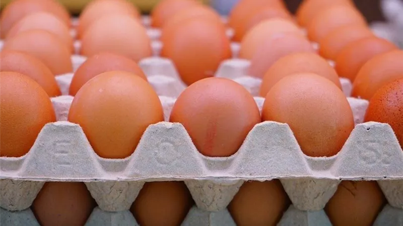 بعد قفزة مفاجئة.. أسعار البيض الأبيض والأحمر اليوم (تحديث)