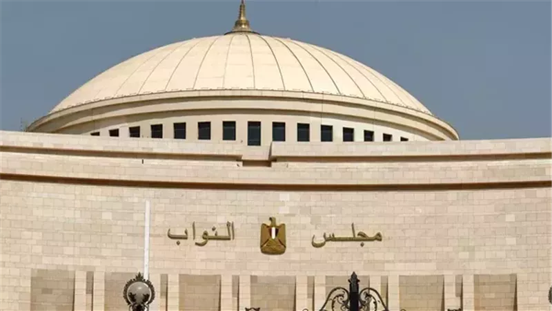 «تشريعية النواب»: توجيهات الرئيس السيسي شجعت المواطنين على التصويت بكثافة