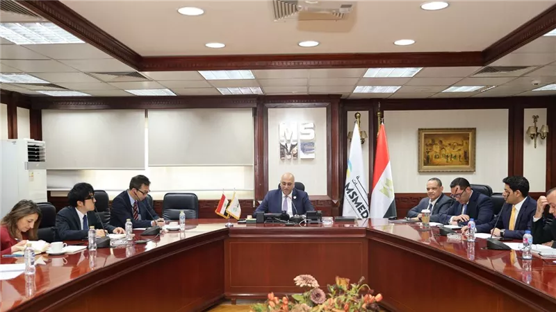 تعاون «مصري– ياباني» لتعزيز تنافسية المشروعات الصغيرة