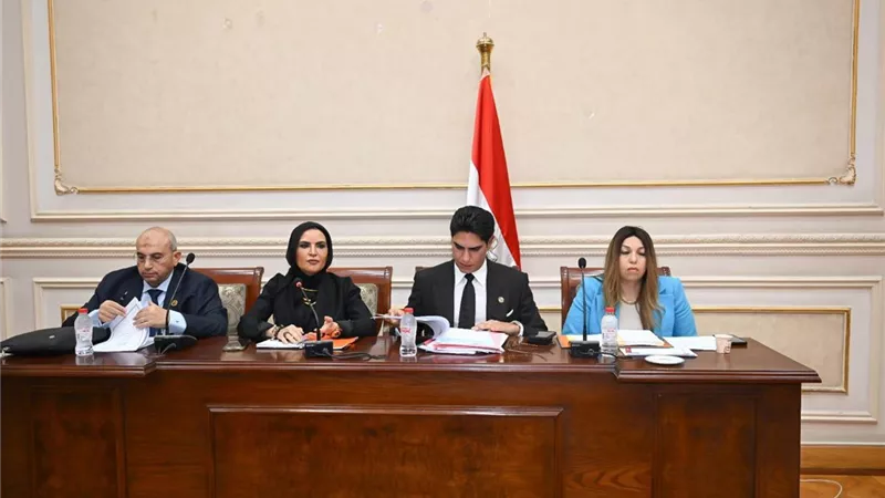 «اقتصادية الشيوخ» تبحث تعديلات قانون ضريبة العقارات