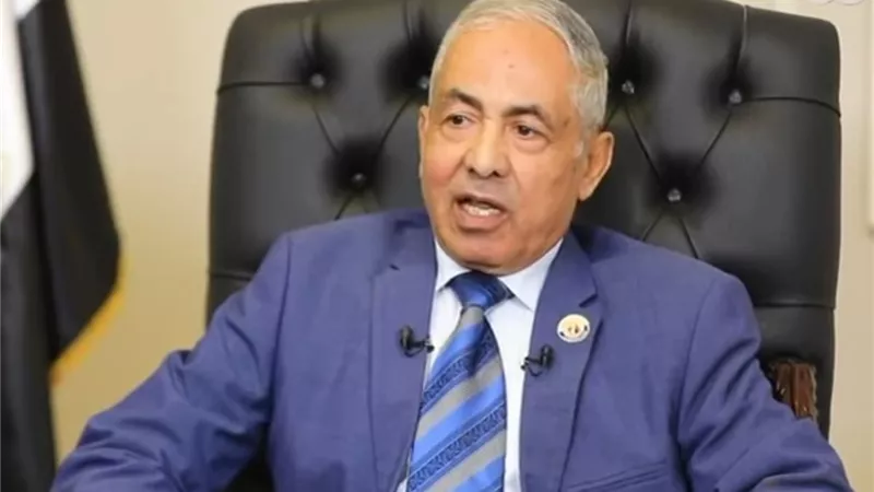 أحمد العوضي يشيد بوعي المصريين في المشاركة الإيجابية|خاص