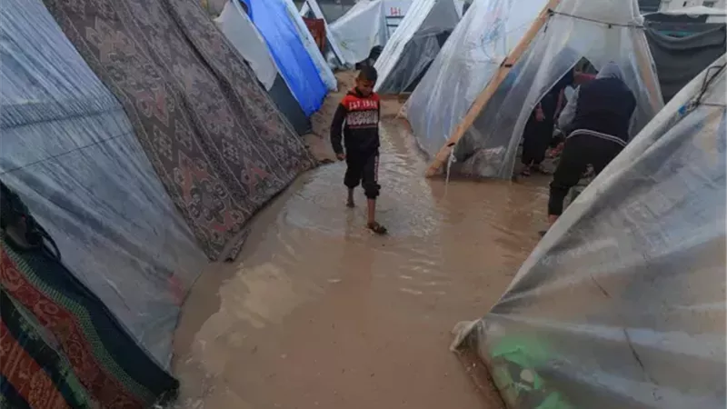 الدفاع المدني في غزة يحذر من ارتفاع الوفيات وانهيار المباني بسبب البرد