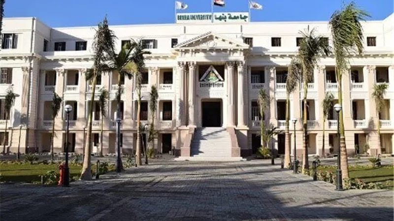تعرف على شروط الدراسات العليا 