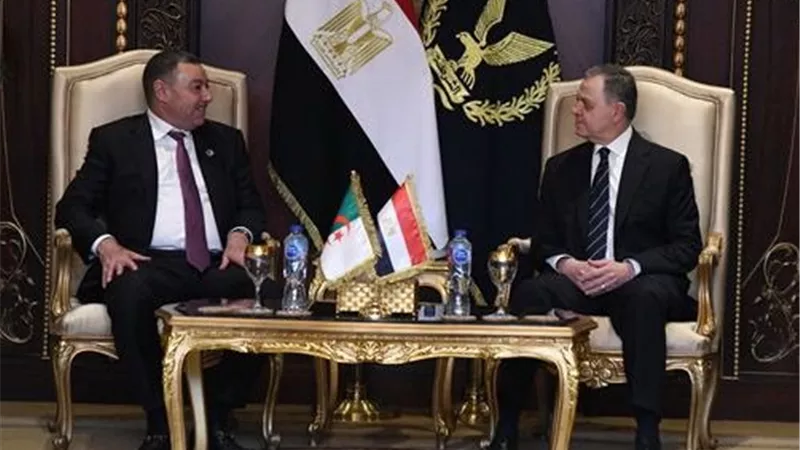 وزير الداخلية يستقبل نظيرة الجزائرى لبحث التعاون الأمني المشترك 