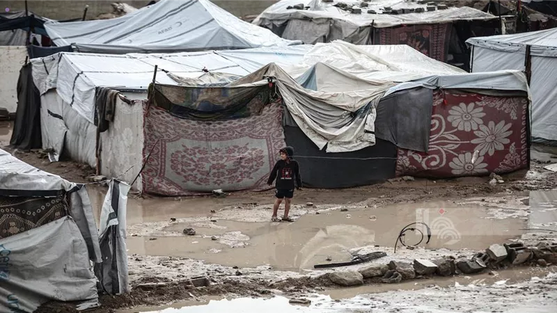 الأونروا: آلاف النازحين في غزة بلا مأوى كافٍ وسط البرد القارس