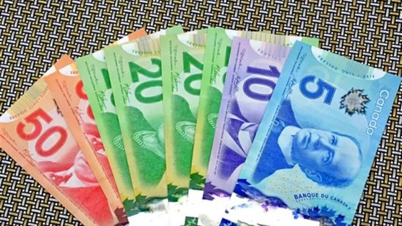 تحديث لحظي.. سعر الدولار الكندي في بنوك مصر اليوم