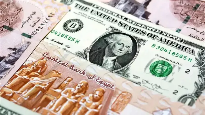 الدولار يزحف نحو «الـ48».. والأنظار تتجه لبعثة صندوق النقد الأسبوع المقبل
