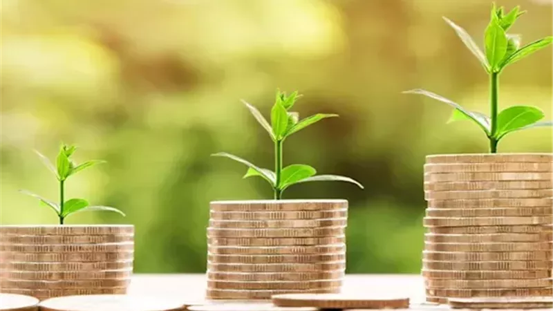 هل توجد زكاة على إيجار الأرض الزراعية؟.. الإفتاء تجيب