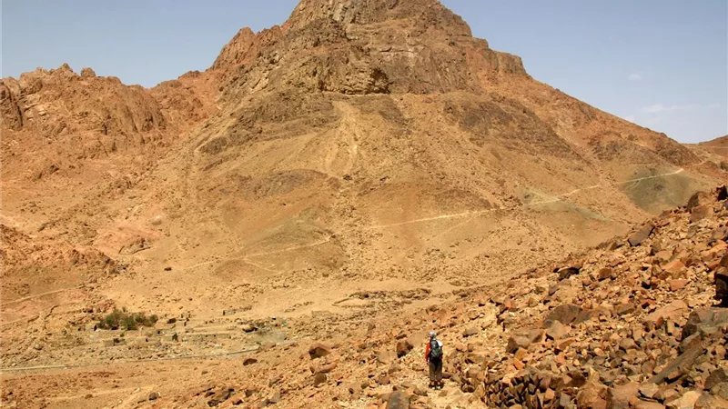 لماذا اختار الله جبل الطور ليتجلى عليه؟.. الإفتاء تجيب