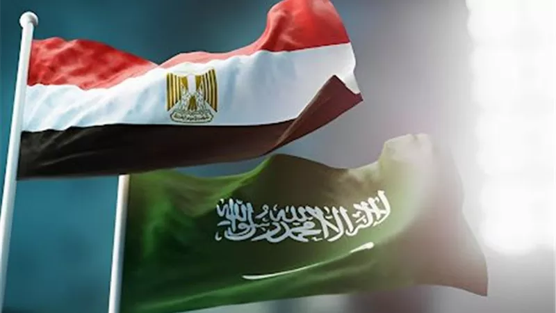 استثمار بـ40 مليون دولار يفتح أبواب الشراكة الصناعية بين مصر والسعودية