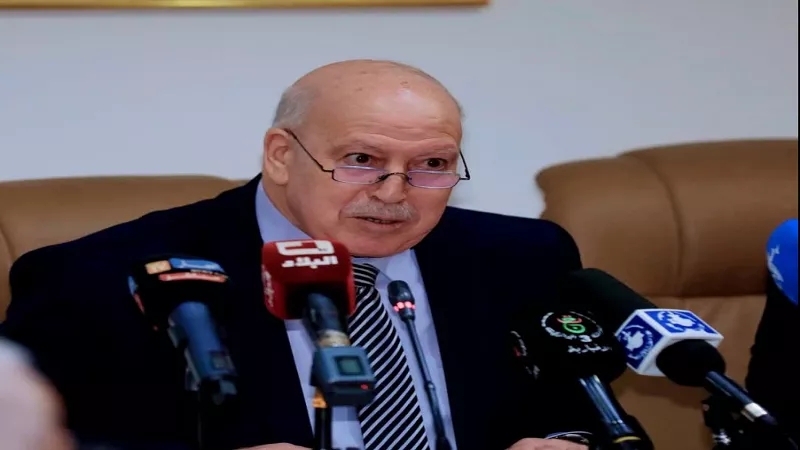 وزير الصناعة الجزائري: تعاون واعد مع مصر بمجال القطاعات الحيوية|فيديو