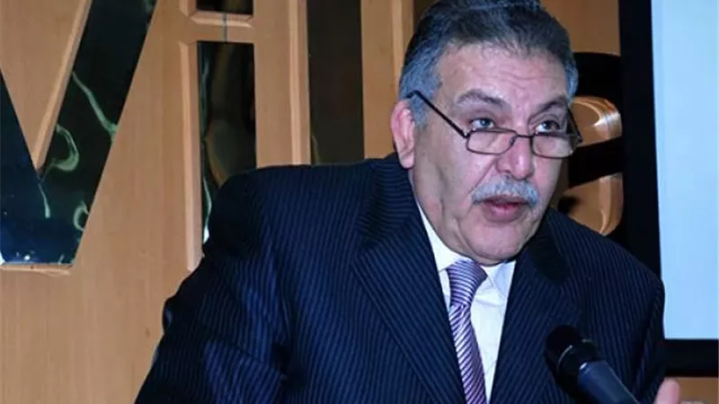 أحمد الوكيل: الشراكة بين مصر والجزائر تشكل نموذجا ناجحا للتعاون| فيديو
