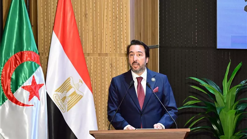 رئيس مجلس الإصلاح الاقتصادي الجزائري: نستهدف الاستثمار في 5 قطاعات رئيسية