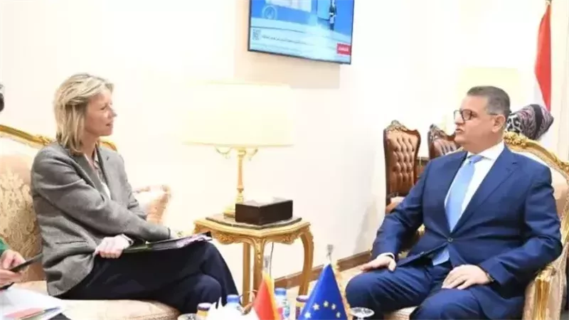 رئيس «حقوق إنسان النواب»: مصر نجحت في وقف الهجرة غير الشرعية منذ 2016