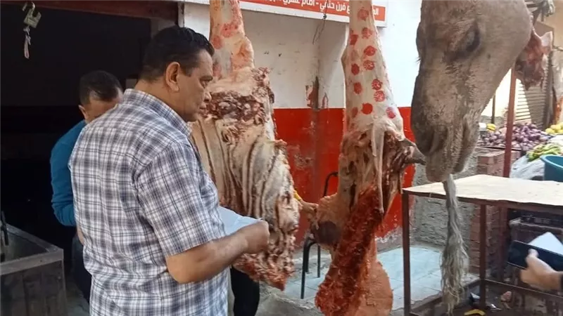 حملة تموينية مكبرة في بني سويف تضبط مخالفات خطيرة بالأسواق| صور
