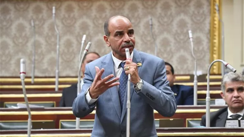 عضو مجلس النواب: الأمن القومي لا يقتصر على السلاح فقط