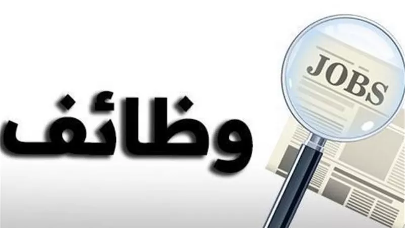 فرص عمل جديدة متاحة في المحافظات.. وزارة العمل تكشف التفاصيل