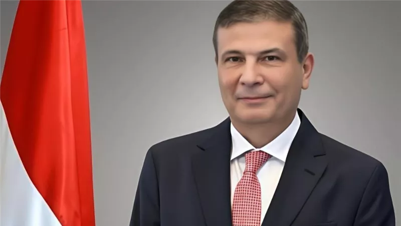 في اليوم العالمى لشجرة الزيتون.. توزيع 850 ألف شتلة على أهالي سيناء مجانا