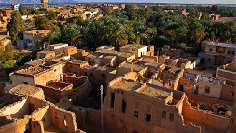 طقس الوادي الجديد.. معتدل نهارا شديد البرودة ليلا ونشاط للرياح 