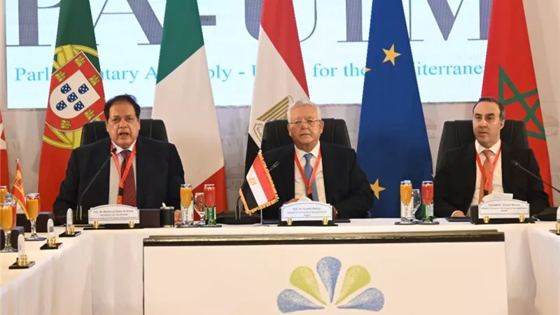  نائب رئيس الشيوخ الإسبانى يثمّن دور القاهرة المحوري في تحقيق حل الدولتين