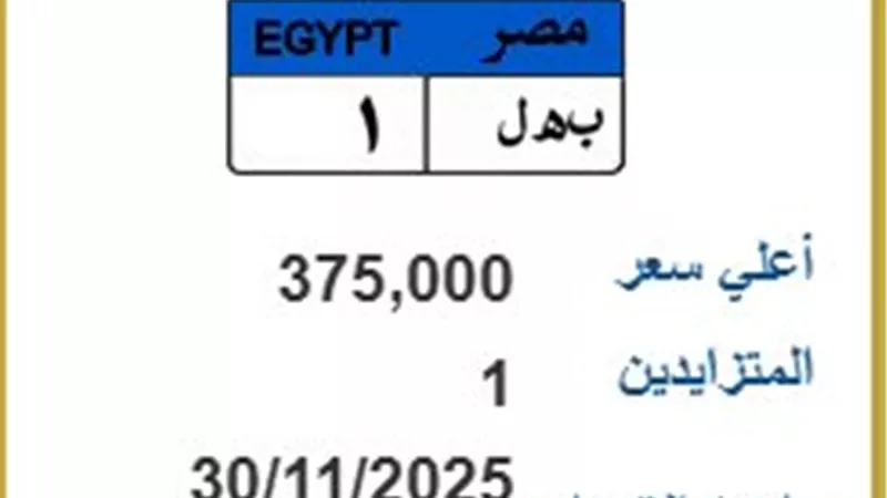 مزاد اللوحات: “ب هـ ل 1” تُسجّل 375 ألف جنيه ومنافسة محدودة