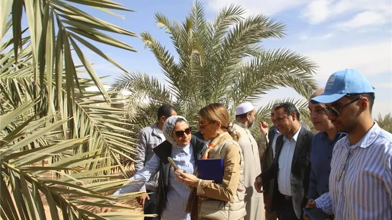 نائب محافظ الوادي الجديد ومديرة اليونسكو يتفقدان مزرعة الجمعية الشرعية