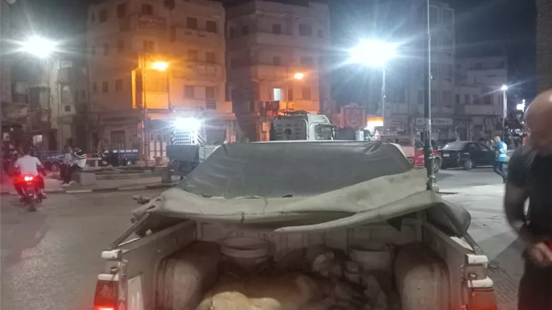بعد شكاوى الأهالي.. محافظ البحيرة توجه بتجهيز مواقع لإيواء الكلاب الضالة 