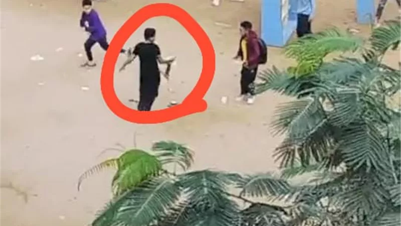 فوضى مدارس الجيزة.. طالب يحمل قطًا نافقًا لترويع زملاءه 