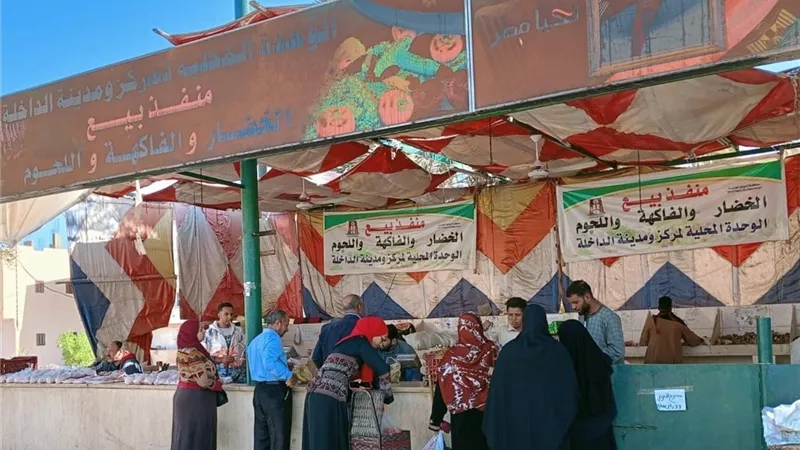 اللحوم بـ300 جنيه.. مبادرة لخفض السلع في الوادي الجديد