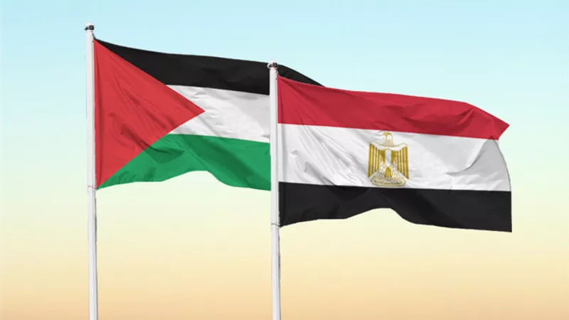 هيئة دعم فلسطين: رفض مصر للتهجير أنقذ القضية من الموت| فيديو