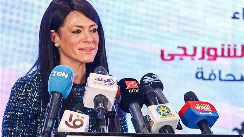 مصر تطالب بتمثيل إفريقي أكبر في المؤسسات الدولية