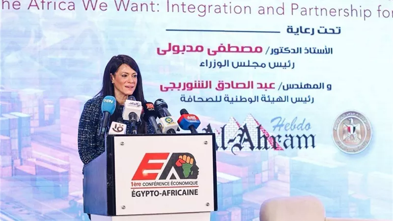 التخطيط: مصر تنفذ مشروعات تنموية واقعية وتوسع تبادل الخبرات مع أفريقيا