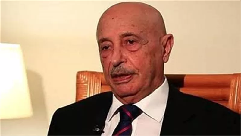  رئيس «النواب الليبي» يدعو لإجراء الانتخابات الرئاسية في أقرب وقت