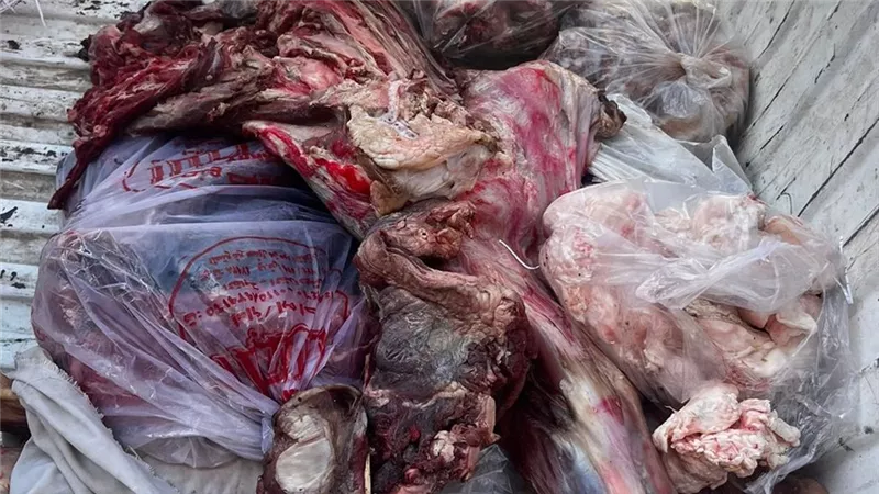 «بيطري الأقصر» يضبط 80 كيلو لحوم غير صالحة للاستهلاك الآدمي