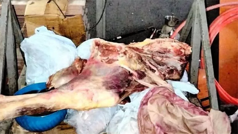 حملات للطب البيطري بأسوان تسفر عن ضبط 186 كجم لحومًا فاسدة