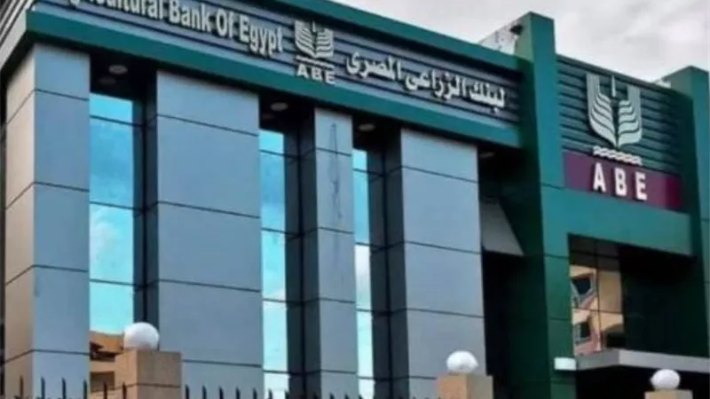  خدمات البنك الزراعي والقروض المخصصة لدعم المزارعين الحديثة