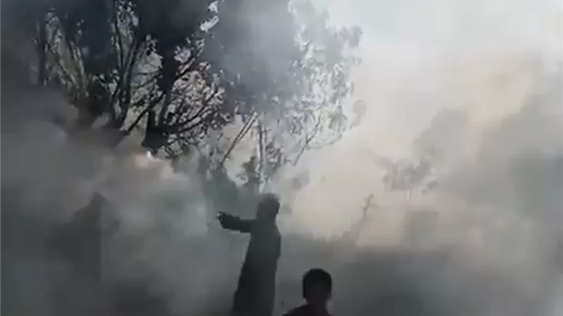 حريق هائل يلتهم أشجار النخيل.. والحماية المدنية بالأقصر تسيطر عليه