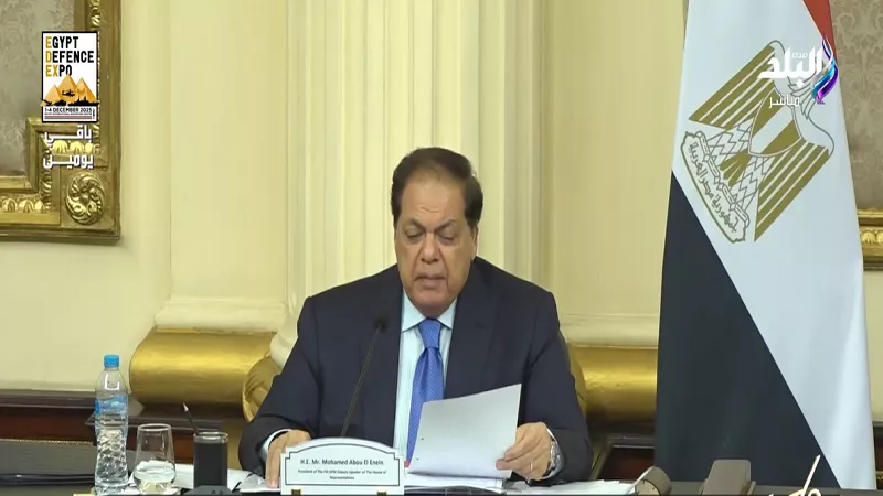 أبو العينين: الرئيس السيسي أدى واجبا وطنيا رائعا بالقضية الفلسطينية|فيديو