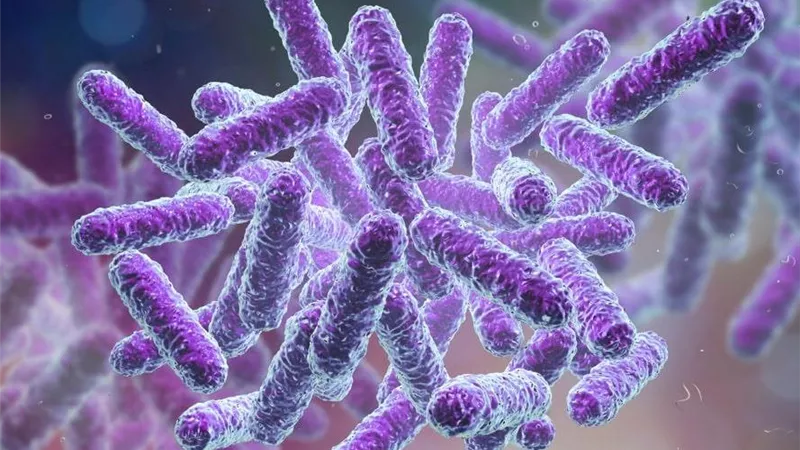 أسباب حدوث مقاومة الميكروبات للمضادات الحيوية