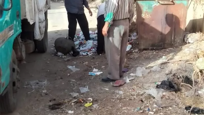 جهود مكثفة بالباجور لإزالة الإشغالات.. وحملات نظافة شاملة بالمنوفية 