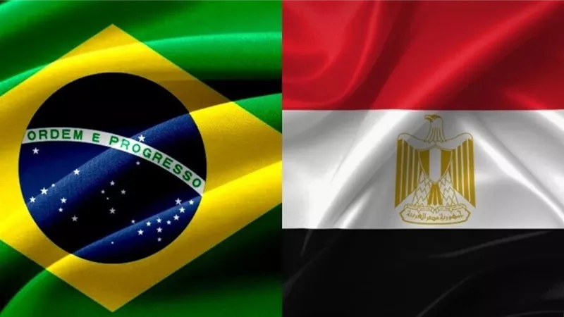 مصر تجري اجتماعا افتراضيا مع شركة برازيلية لإنشاء أول 3 مراكز بيانات