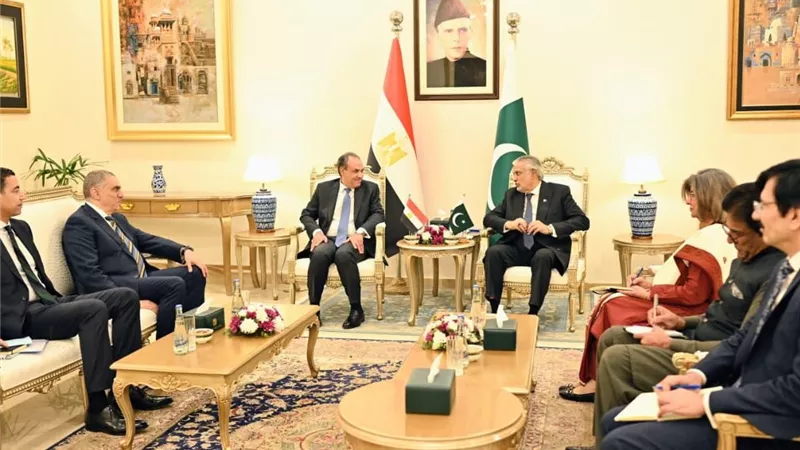 وزير الخارجية يلتقي نظيره الباكستاني لتعزيز العلاقات والتعاون بين البلدين