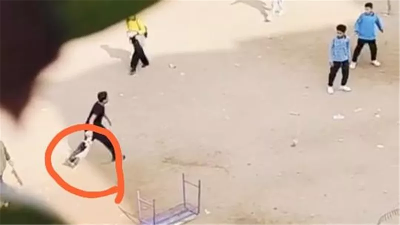 فصل طلاب فيديو «القطة النافقة» بمدرسة كفر الجبل وإحالة المدير للتحقيق|صور 